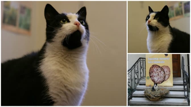 Історія одного львівського працівника музею