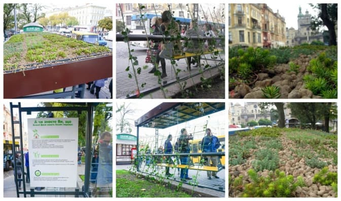 У Львові презентували першу в Україні еко-зупинку. Фото