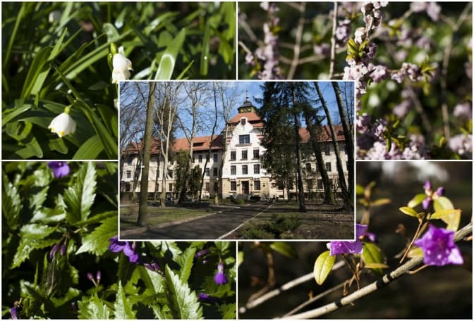 На природу, не виїжджаючи зі Львова. Варіант відпочинку на вихідні