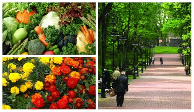 Львів'яни опановуватимуть сільське господарство: перелік майстер-класів