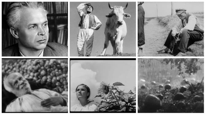 фото: www.ukrlitzno.com.ua, www.dovzhenkocentre.org