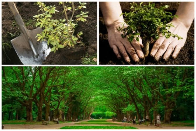 фото: agronomist.in.ua,rivne1.tv, youtube.com