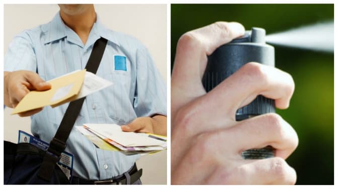 фото: sitel.com.mk, irshavaonline.com