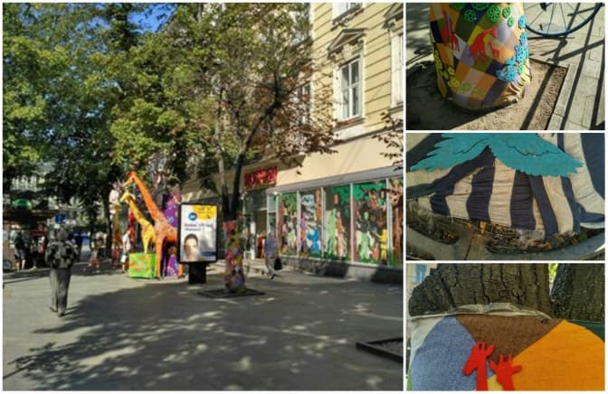 У Львові Roshen зобов’язали «роздягти» дерева на площі Галицькій