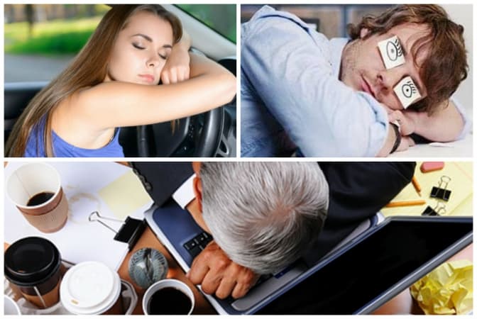 фото: emozzi.com.ua, estiva.ru, stoletnik.ru