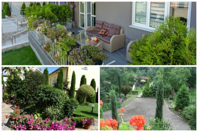 фото: прес-служба ЛМР