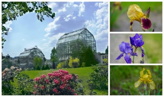 фото: facebook.com/botsad.lnu