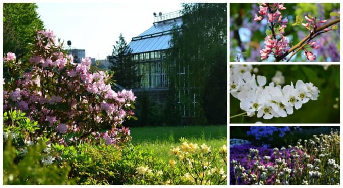 Львів'ян запрошують на День відкритих дверей у ботанічний сад. Що подивитися