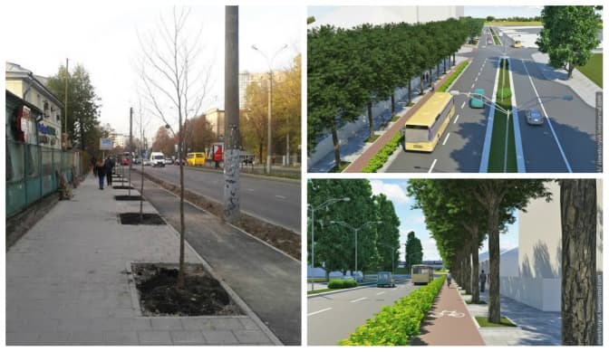 На проспекті Чорновола у Львові з’явиться алея з платанів. Фото