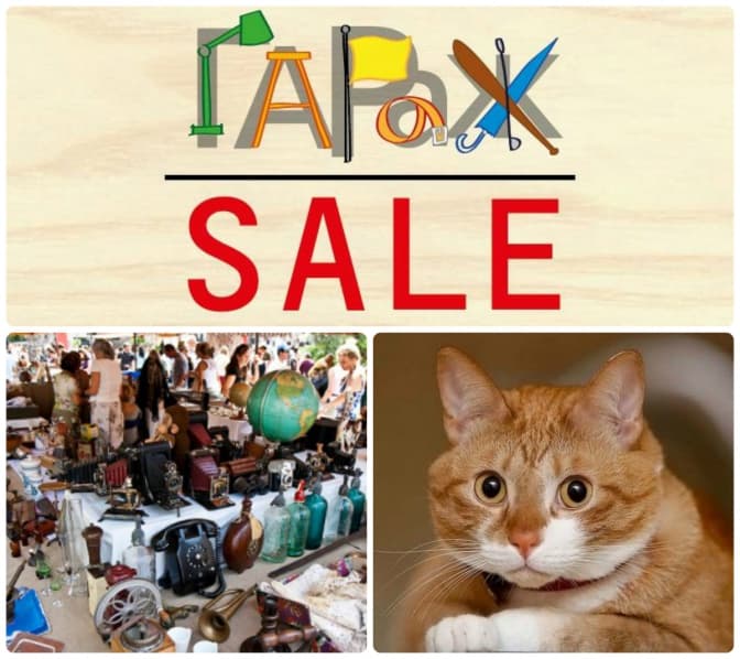 Львів’ян запрошують на гаражний розпродаж на підтримку котів