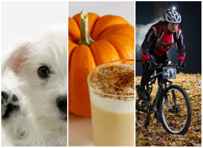 Tvoemisto.tv рекомендує: Куди піти на вихідні у Львові