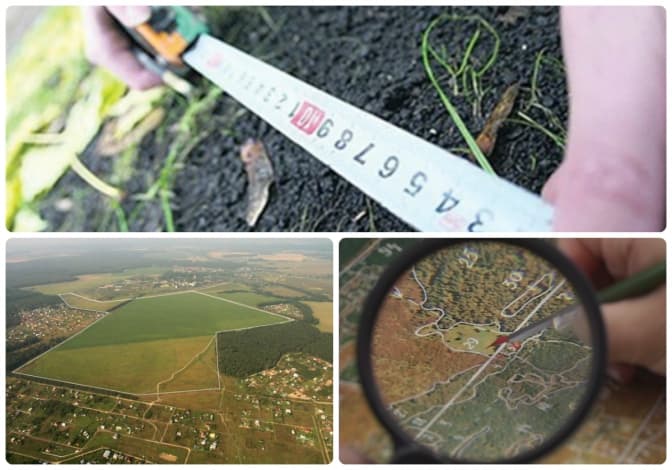 Фото: misto-market.com.ua, agronews.ua, obozrevatel.com