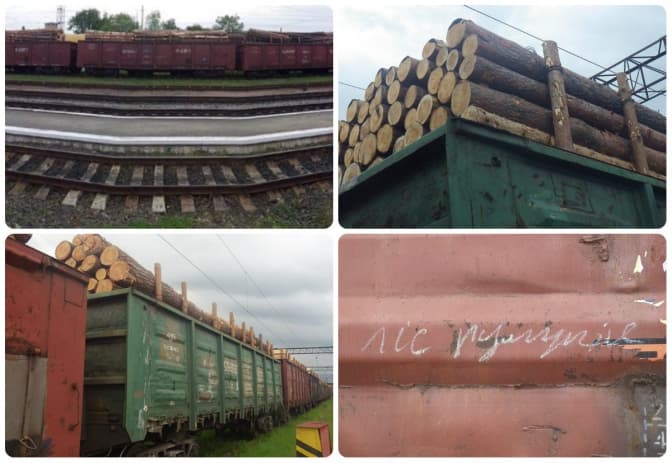 Фото: facebook.com/taras.matviiv