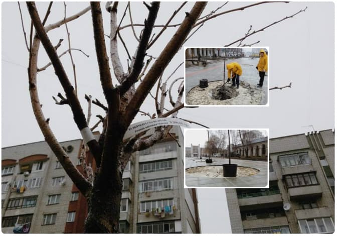 Львів’ян запрошують на відкриття Скверу Гідності. Де і коли?