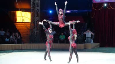 Діти з особливими потребами у Львові відвідають циркову виставу