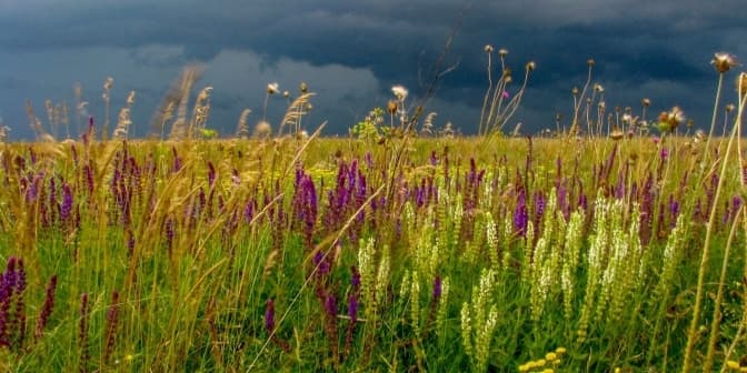 На Львівщині пропонують створити нові заповідники