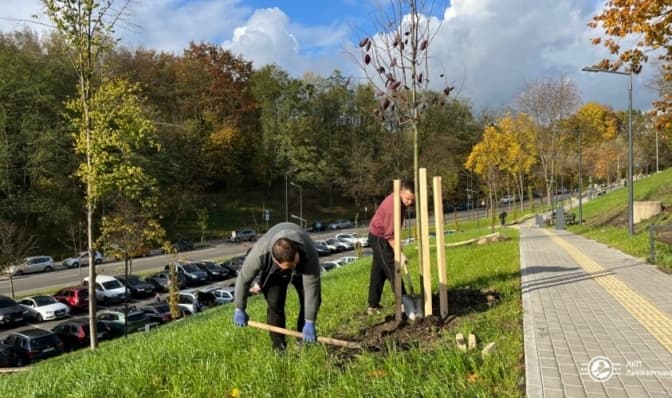 У Львові біля дитячої лікарні на Орлика висадять понад 70 дерев