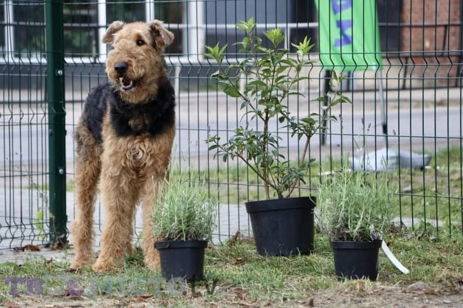 Фото: Анна Чистякова