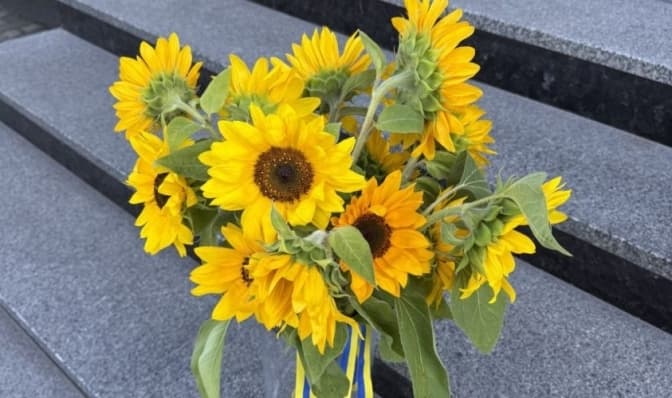 Вулицю Регенераторну в Києві просять перейменувати на честь Героїв Іловайська