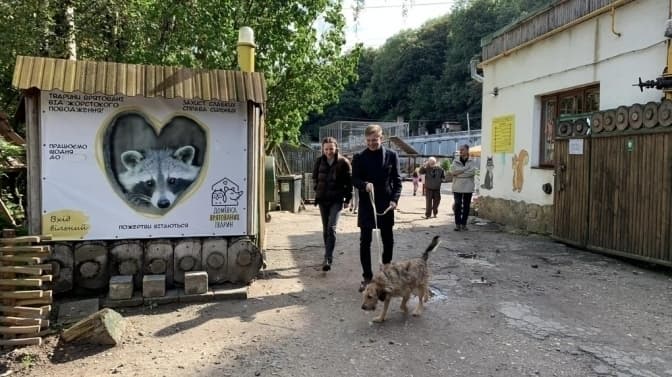 У Львові відбудеться благодійний фестиваль для допомоги тваринам