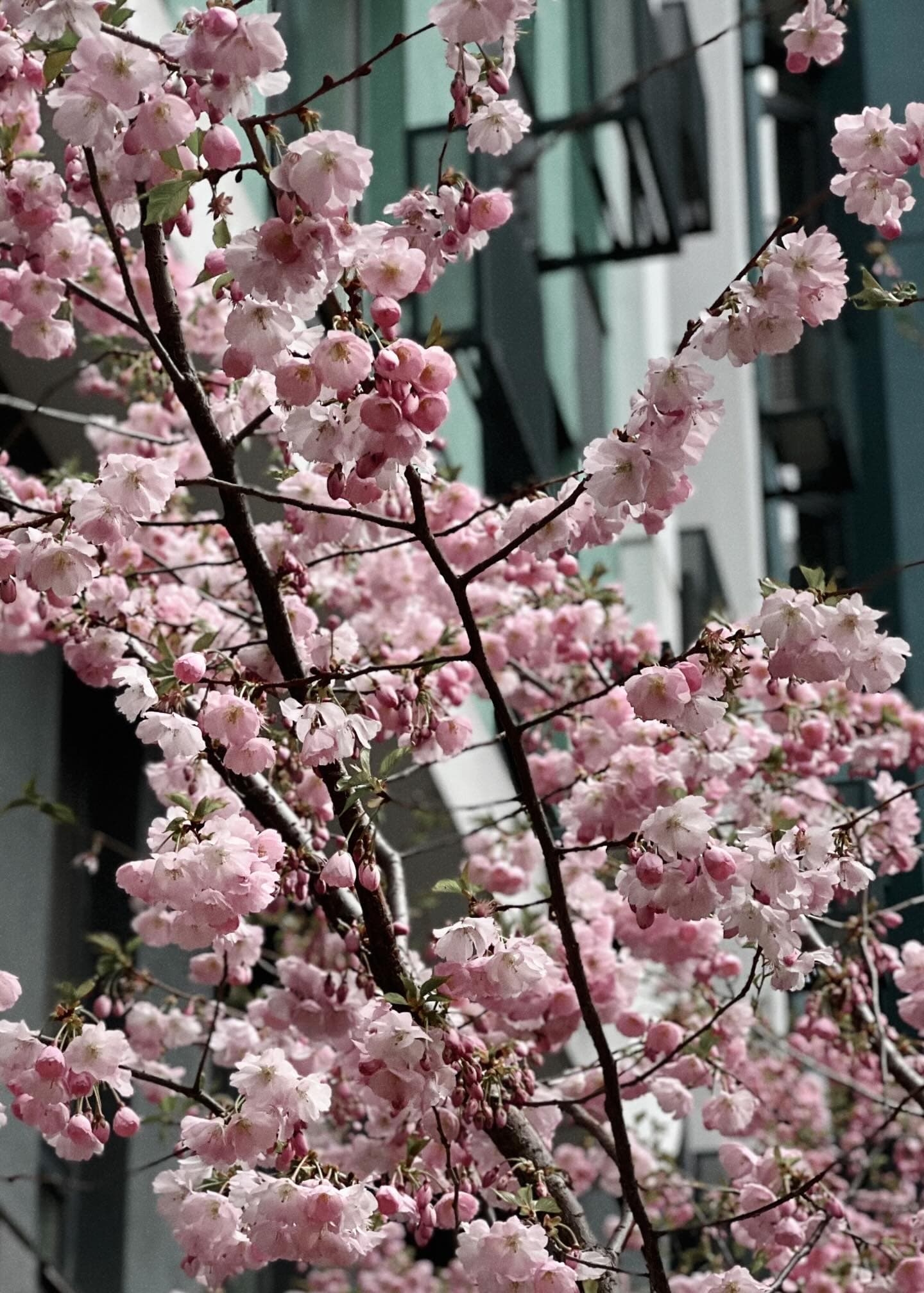 Фото: elzielii/ Threads