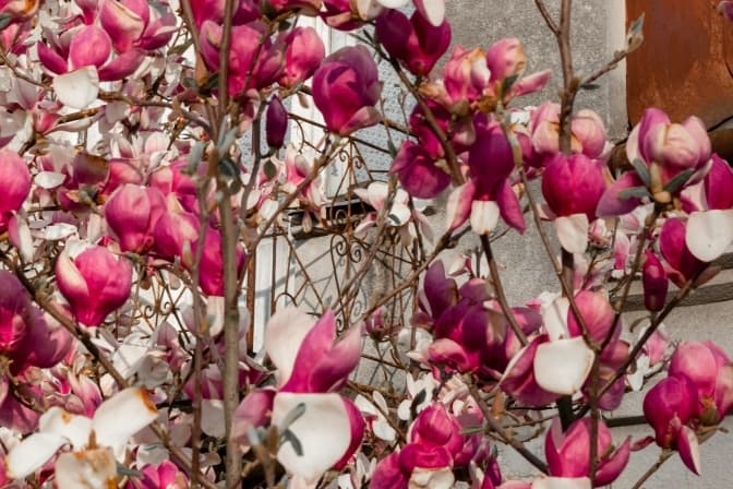 Чи є у нас уже індійський штам Covid-19 та куди поїхати на відпочинок на вихідних. Головне за добу