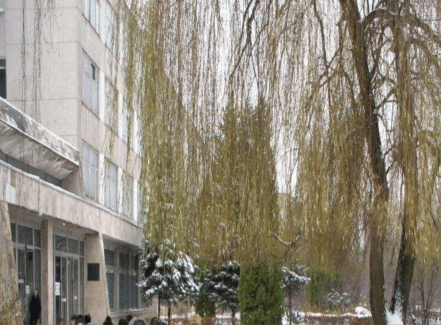 Фото з презентації підприємства