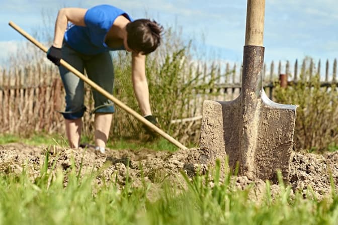 Як зібрати урожай без шкоди для здоров’я: пояснює Уляна Супрун