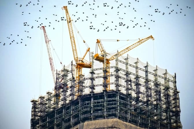 Фото: Construction site birds, Unsplash