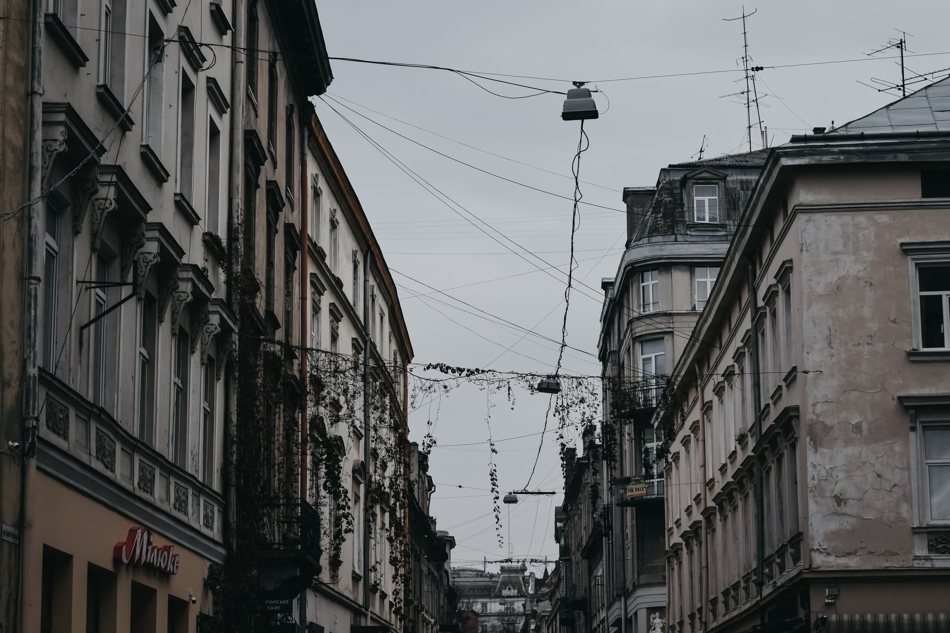 Фото Darya Tryfanava для Unsplash