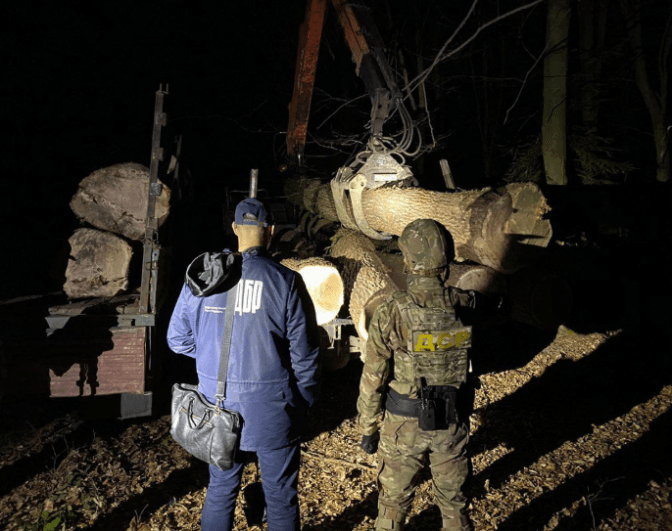 На Львівщині судитимуть злочинну групу, яка вирубала лісу на понад мільйон гривень