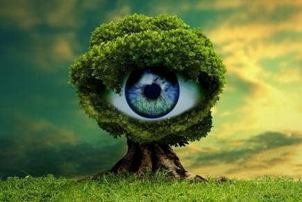 Фото: ecolog-ua.com