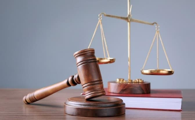 Під Києвом жінка заморила голодом чотирьох тварин – їй загрожує до 8 років ув’язнення