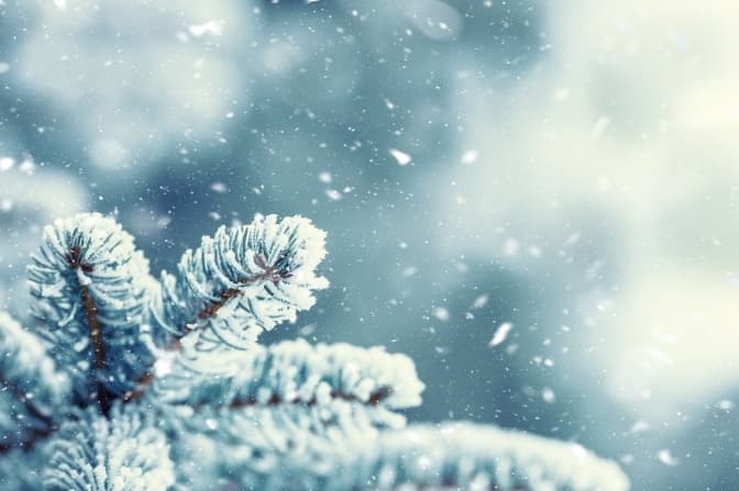 Якою буде погода на вихідних у Львові. Прогноз