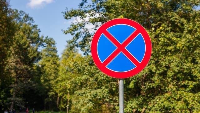 У Львові обмежать паркування біля пам'ятки природи місцевого значення