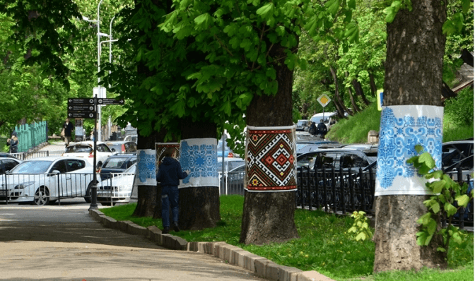 Фото дня: у Львові дерева одягли у вишиванки