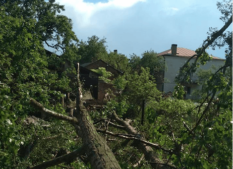 Фото: Ольга Дідух/Facebook