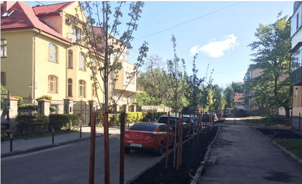 На вулиці Квітневій у Львові висадили 22 дерева. Фото