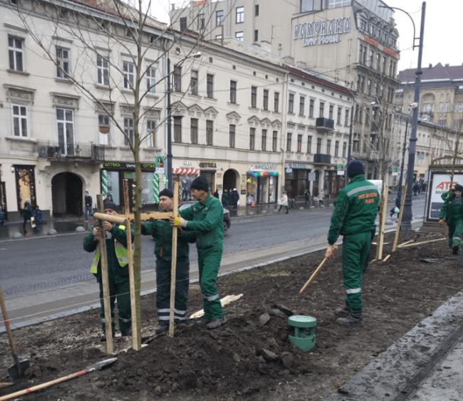 На оновленій площі перед Оперним театром висадили платани