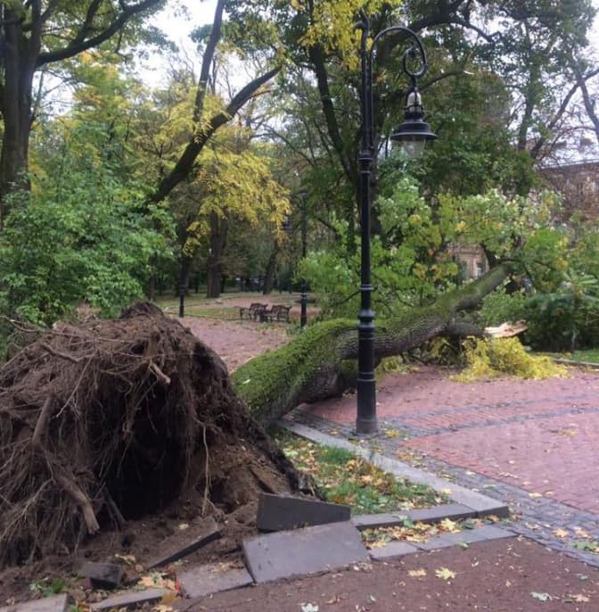 Фото: Oksana Vaskiv