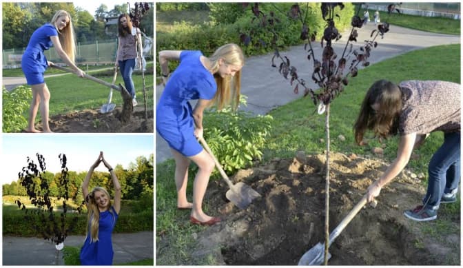 фото: facebook.com/ParkKulturyLviv