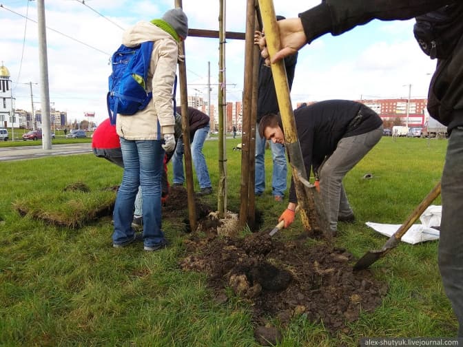 УГКЦ закликає освітян здати макулатуру і посадити дерева