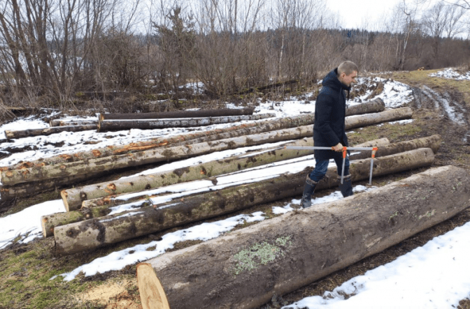 Поліцейські виявили незаконну вирубку дерев на Львівщині