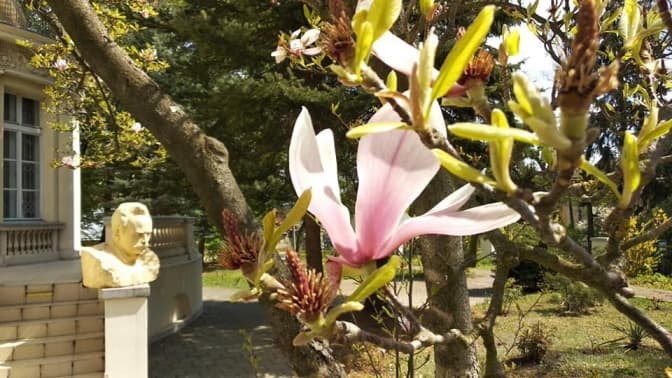 Фото: Богдан Тихолоз/Фейсбук