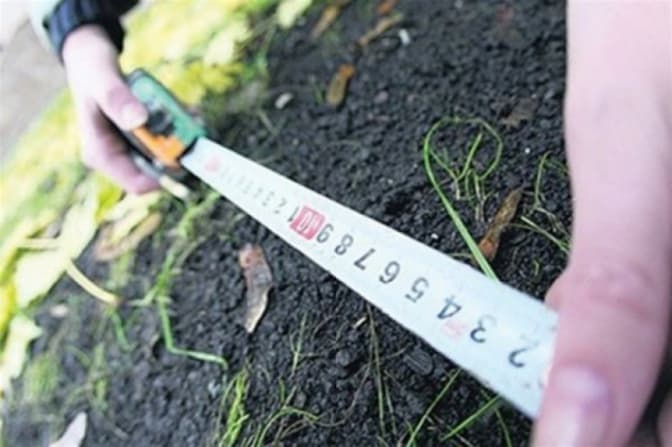 Суд повернув ділянку в Брюховичах у державну власність