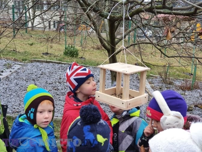 Фото: Тарас Бабенчук