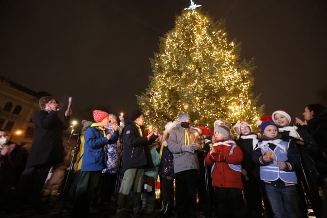 Стало відомо, коли у Львові встановлять новорічну ялинку