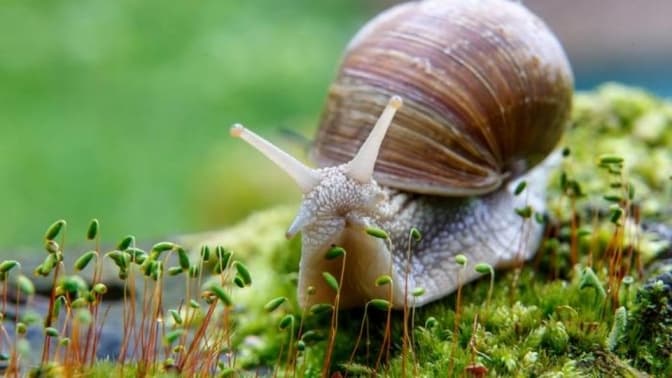 Фото: з відкритих джерел