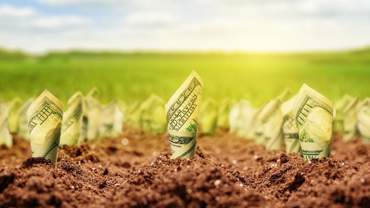 ілюстративне фото: agravery.com