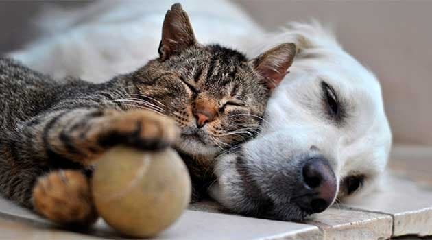 фото умовне

